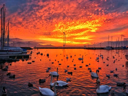 Sunset on Leman Lakeの写真素材