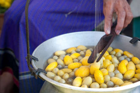 ancient silk production