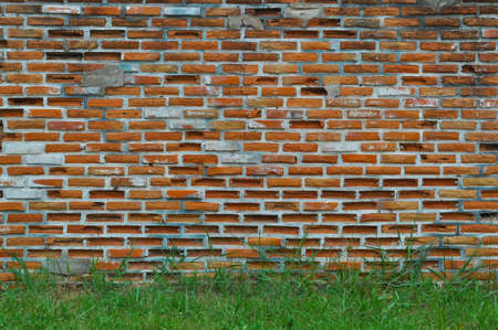 old brick wall and grassの写真素材
