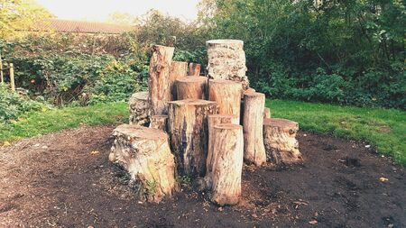 Tree stumpsの素材