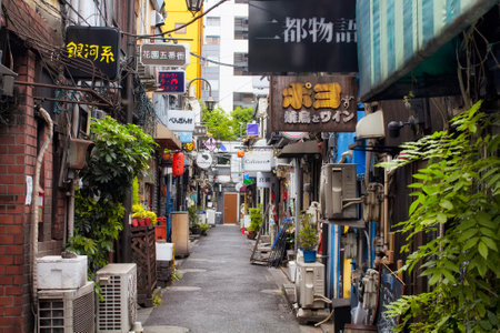 TOKYO - MAY, 2016: One of the back street in Shinjuku May 28, 2016のeditorial素材