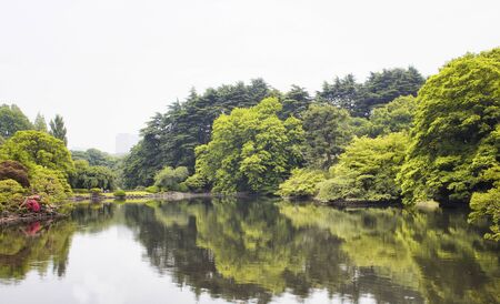 View of artificial lake in Shinjuku garden in Tokyo