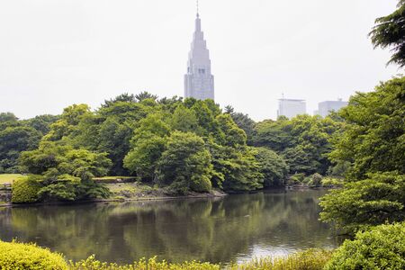 View of artificial lake in Shinjuku garden in Tokyoの写真素材