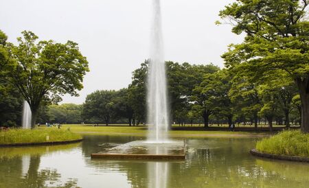 Water fountain in Yoyogi Park in Tokyoの写真素材