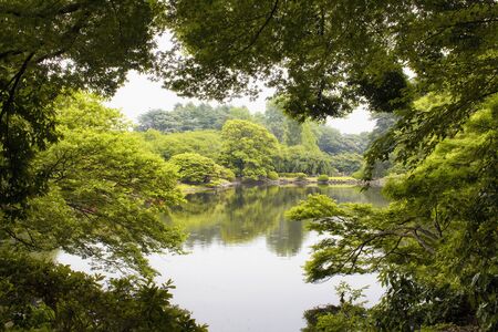 View of artificial lake in Shinjuku garden in Tokyoの写真素材