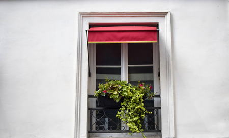 Window and flowerpot in Parisの写真素材