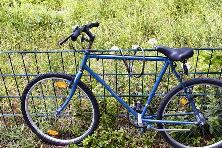 Bicycle parked in nature in Berlinの写真素材