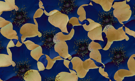 Digital background art of beige and dark blue color floral / flower pattern made with photo collage technique.の写真素材