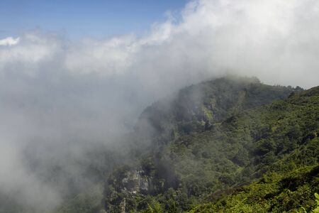 View of top of the mountain with trees in fog creating beautiful nature scene. The image is captured...