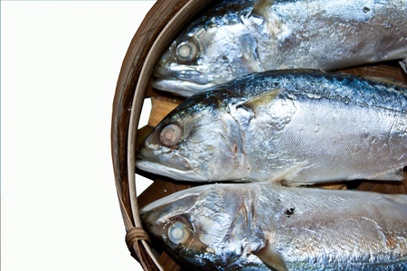 Mackerel in the third basket of the fresh fish.の写真素材