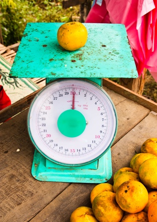 weighing machine, and citrus fruits were placed on top.の写真素材