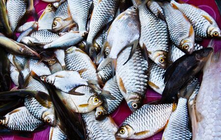 Many fish in a basket placed on the market.の写真素材