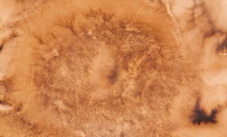 Surface of the old paper  Used for the background の写真素材