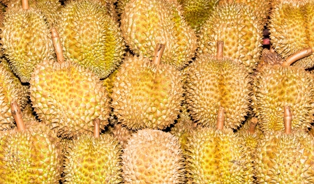 pile of durian on the wall for sale in local market in thailandの写真素材