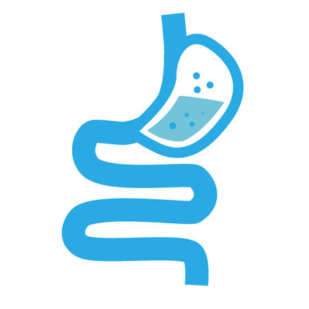 healthy digestion logo. stomach icon on white background. human stomach and gastrointestinal system. flat style.のイラスト素材