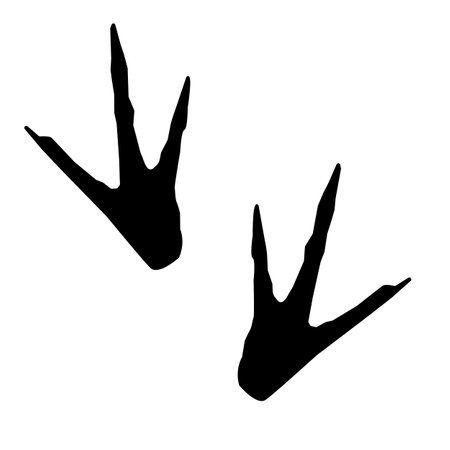 Chicken paw icon on white background. chicken bird paw foot print sign. flat style.のイラスト素材
