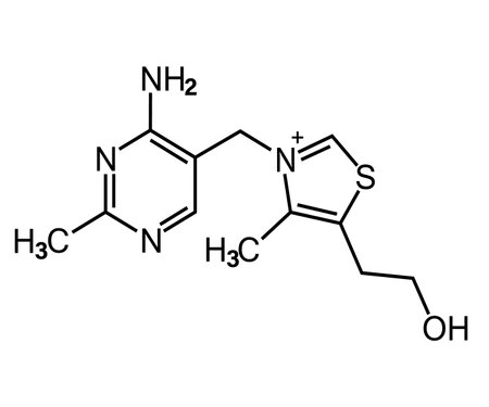 Vitamin B1. Vitamin b1 formula for healthcare. Thiamin as a healthy food. thiamine chemical structure of molecular compounds.のイラスト素材