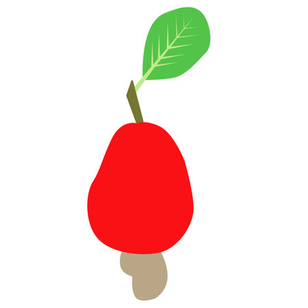 Cashew icon. Cashew nut sign. fruit of ripe cashew nuts with green leaves and seeds symbol. flat style.のイラスト素材