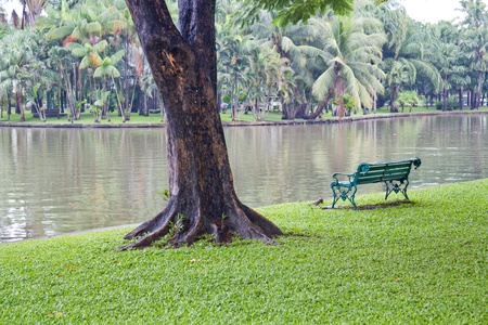 A view of a garden pond  の写真素材