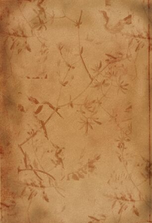 Old paper grunge backgroundの写真素材