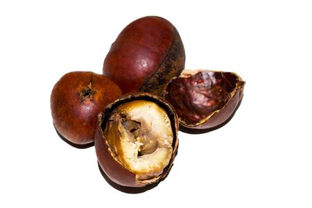 Roasted Sweet Chestnuts isolated on a white background の写真素材