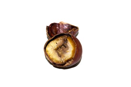 Roasted Sweet Chestnuts isolated on a white background の写真素材