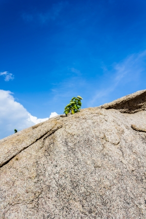 Concept of businessの写真素材