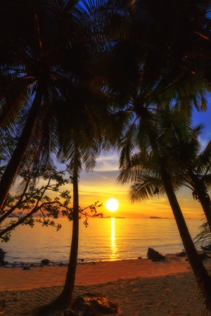 Beautiful sunset on the beach  Samui island,Thailand の写真素材