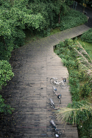 Sri Nakhon Khuean Khan Park and Botanical Garden, The lungs of Bangkok, Thailandの写真素材