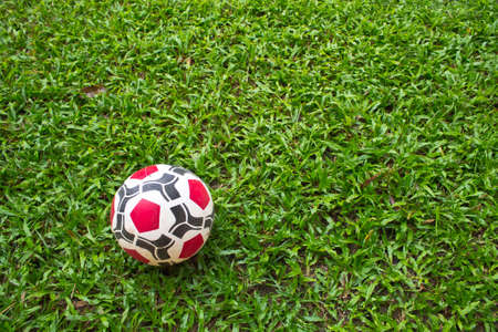 soccer ball on green grassの写真素材