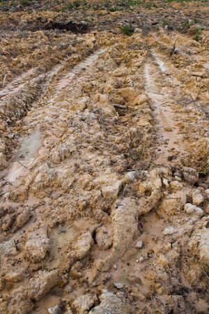 The trace of a tyre in the sandの写真素材
