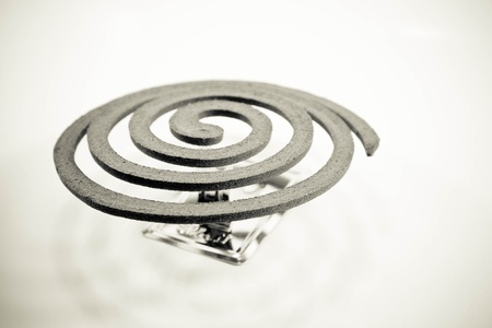 Close up mosquito colis isolated on white backgroundの写真素材