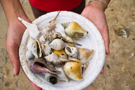 shellfish on plate