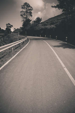 Road lane and grassの写真素材