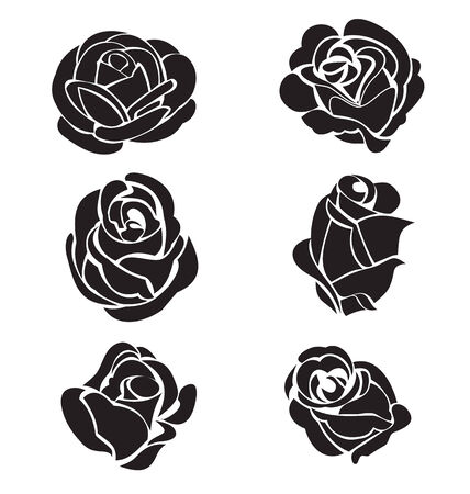 Vector illustration of rose setのイラスト素材