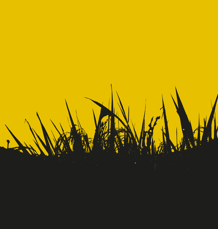 grass silhouette on a white backgroundのイラスト素材