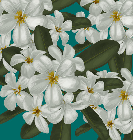 Illustration of  plumeria  pattern  backgroundのイラスト素材