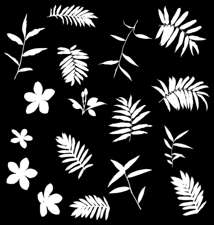 Vector Illustration of  tropical plants set.のイラスト素材