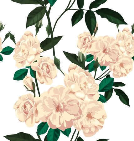 Vector Illustration of floral seamless patternのイラスト素材