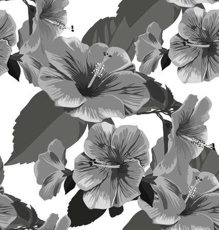 Illustration of floral seamless patternのイラスト素材