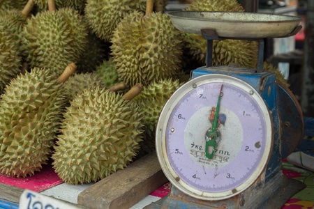 The queen of fruits in Thailand and Scales