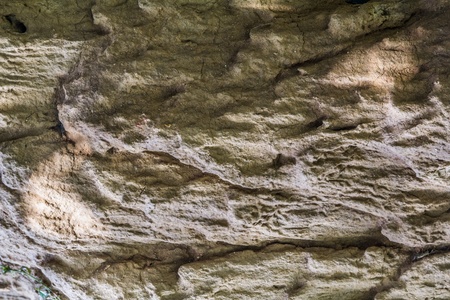 background of Soilの写真素材