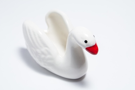 white swan on white backgroundの写真素材