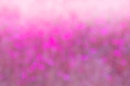 Blurred Yellow cosmos flower, nature backgroundの写真素材