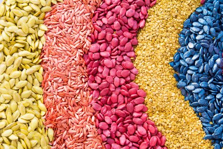 Background of different kinds of whole grainsの写真素材