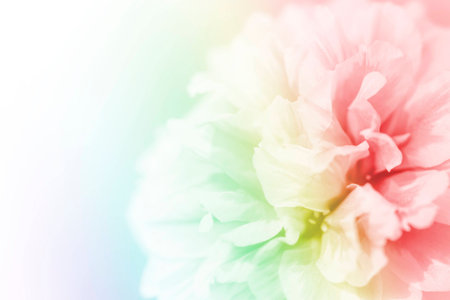 beautiful flowers made with color filters abstractの写真素材