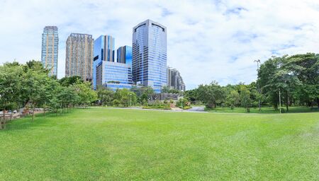Green grass field in big city parkの写真素材