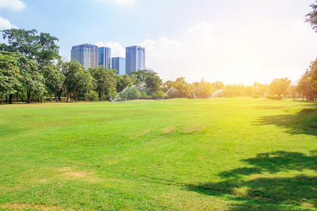 City park under blue sky with building backgroundの写真素材