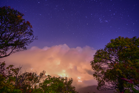 Night sky and the sea fog at night on the mountain in Chiang Mai, Thailand.の写真素材