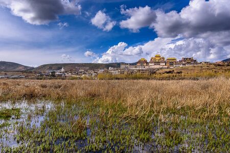 The view and meadow in front of the temple, Songzan Linの写真素材